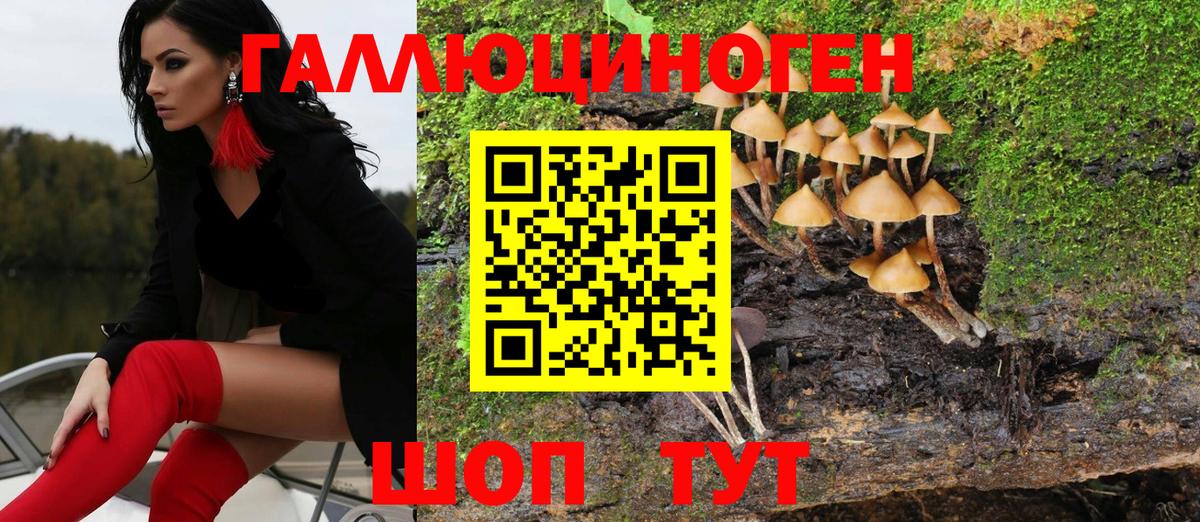 Ступино  Псилоцибиновые грибы MAGIC MUSHROOMS  Вход с VPN  Галлюциногенные грибы Cubensis 
